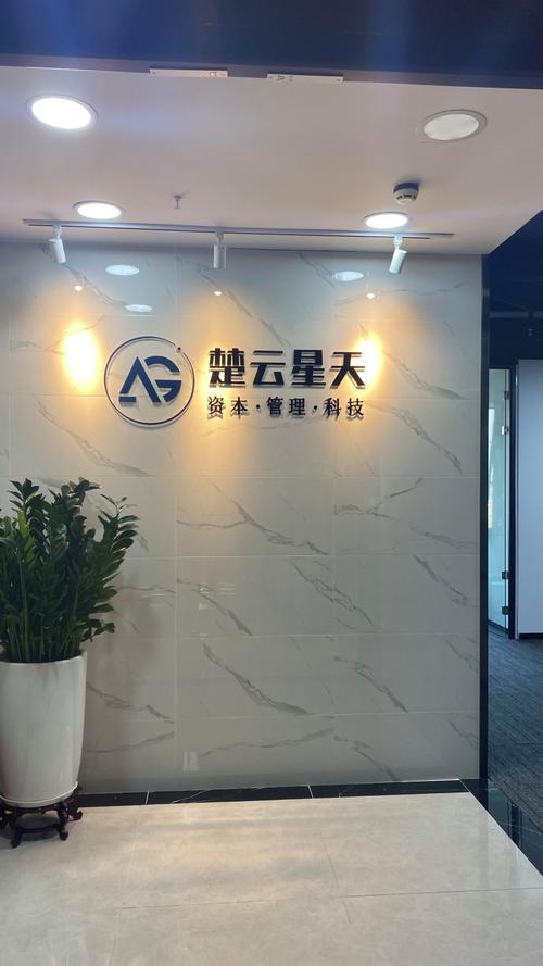 信息系统全生命周期服务 从技术开发到运行维护的实践路径
